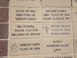 bricks